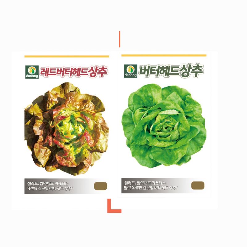 장터 상품 [[버터헤드상추] 유럽상추 씨앗] 썸네일