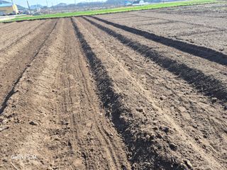 사천시향촌동 돼지띠님의 자유주제 · 자유게시판 작성글 사진