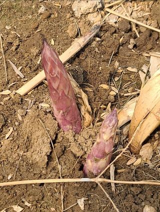 종일님의 자유주제 · 자유게시판 작성글 사진