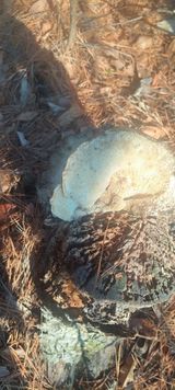 김현영님의 자유주제·자유게시판 작성글 사진