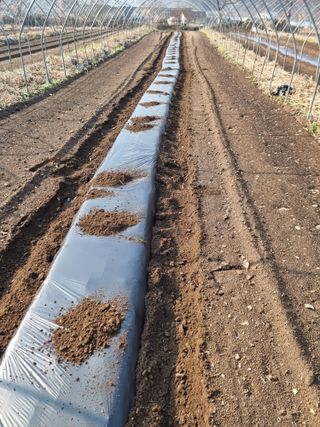 조경준님의 자유주제 · 자유게시판 작성글 사진