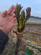 오아성님의 자유주제·자유게시판 작성글 사진