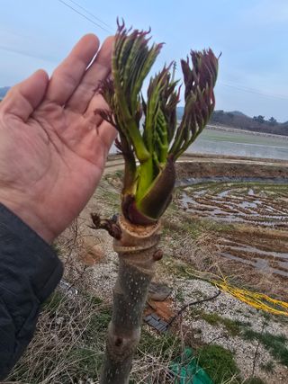 오아성님의 자유주제 · 자유게시판 작성글 사진