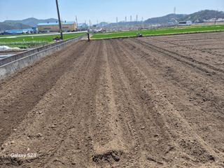 사천시향촌동 돼지띠님의 자유주제 · 자유게시판 작성글 사진