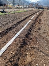 조경준님의 자유주제·자유게시판 작성글 사진