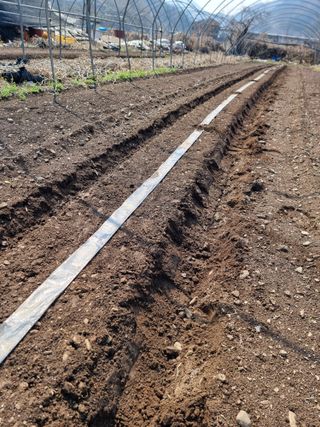 조경준님의 자유주제 · 자유게시판 작성글 사진