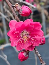 팜모닝 자유주제·자유게시판 게시글 이미지