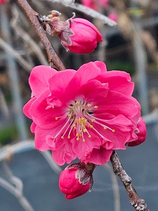 종일님의 자유주제 · 자유게시판 작성글 사진