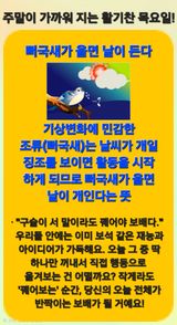 Kns4324님의 자유주제·자유게시판 작성글 사진