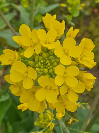 종일님의 자유주제 · 자유게시판 작성글 사진