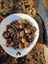 조경준님의 자유주제·자유게시판 작성글 사진