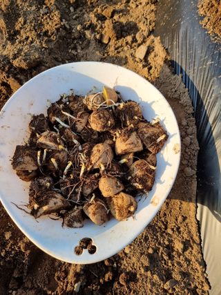 조경준님의 자유주제 · 자유게시판 작성글 사진