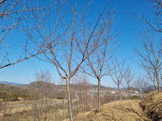 기중권님의 자유주제 · 자유게시판 작성글 사진