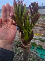 오아성님의 자유주제·자유게시판 작성글 사진