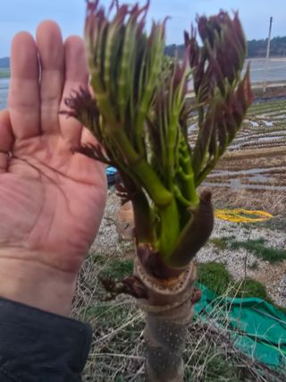 오아성님의 자유주제 · 자유게시판 작성글 사진