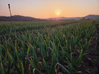 김태혁님의 자유주제 · 자유게시판 작성글 사진