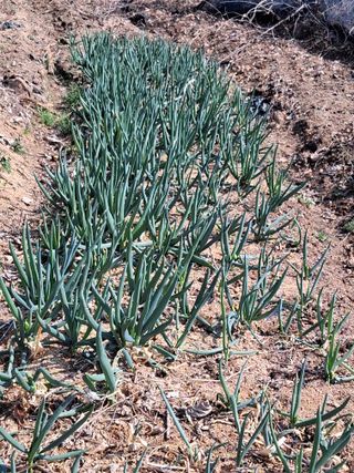 MSG0074님의 자유주제 · 자유게시판 작성글 사진