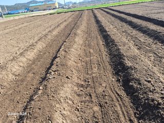 사천시향촌동 돼지띠님의 자유주제 · 자유게시판 작성글 사진