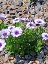 MSG0074님의 자유주제·자유게시판 작성글 사진