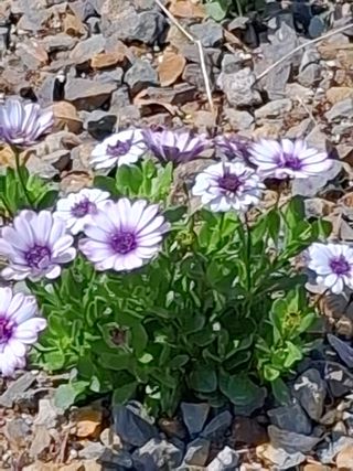 MSG0074님의 자유주제 · 자유게시판 작성글 사진