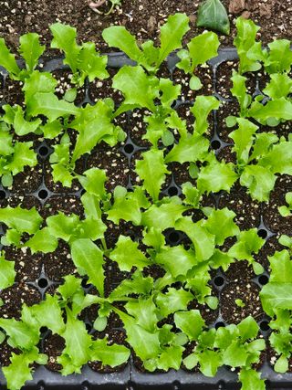 종일님의 자유주제 · 자유게시판 작성글 사진