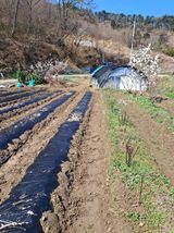 표고버섯18837님의 자유주제·자유게시판 작성글 사진