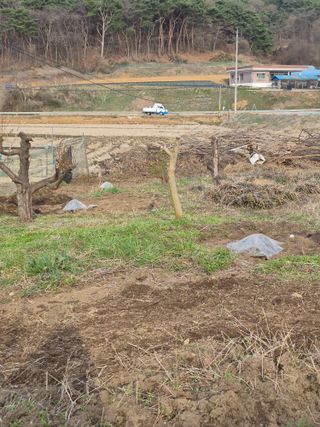 Kns4324님의 자유주제 · 자유게시판 작성글 사진