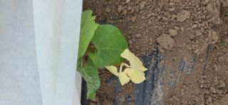 농건이님의 자유주제 · 자유게시판 작성글 사진