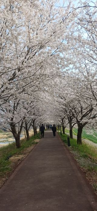 초보퍼머5도2촌준비님의 자유주제 · 사진전 작성글 사진