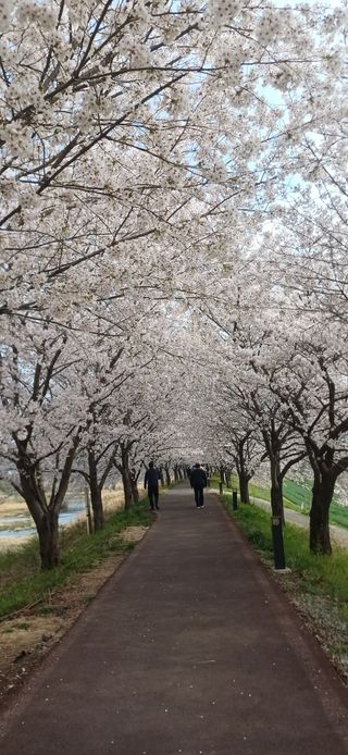 초보퍼머5도2촌준비님의 자유주제 · 사진전 작성글 사진