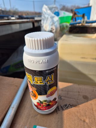 김영진(전남영광)님의 자유주제 · 자유게시판 작성글 사진