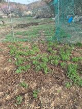 팜모닝 자유주제·자유게시판 게시글 이미지