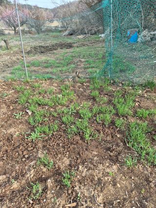 Kns4324님의 자유주제 · 자유게시판 작성글 사진