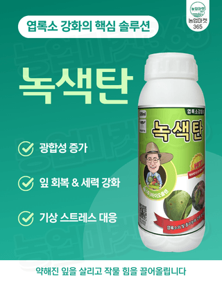 농업마켓365님의 작성글 사진