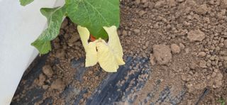 농건이님의 자유주제 · 자유게시판 작성글 사진