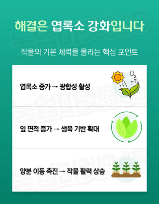 농업마켓365님의 작성글 사진