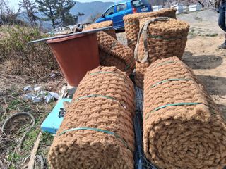 영수농원님의 자유주제 · 자유게시판 작성글 사진