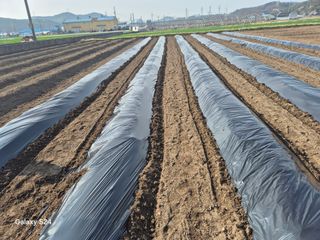 사천시향촌동 돼지띠님의 자유주제 · 자유게시판 작성글 사진