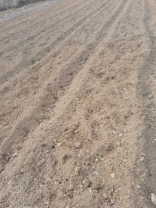 김민수산에서농사중님의 자유주제 · 자유게시판 작성글 사진