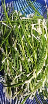 최연재님의 자유주제·자유게시판 작성글 사진