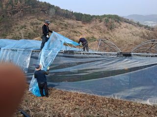 영수농원님의 자유주제 · 자유게시판 작성글 사진