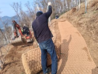 영수농원님의 자유주제·자유게시판 작성글 사진