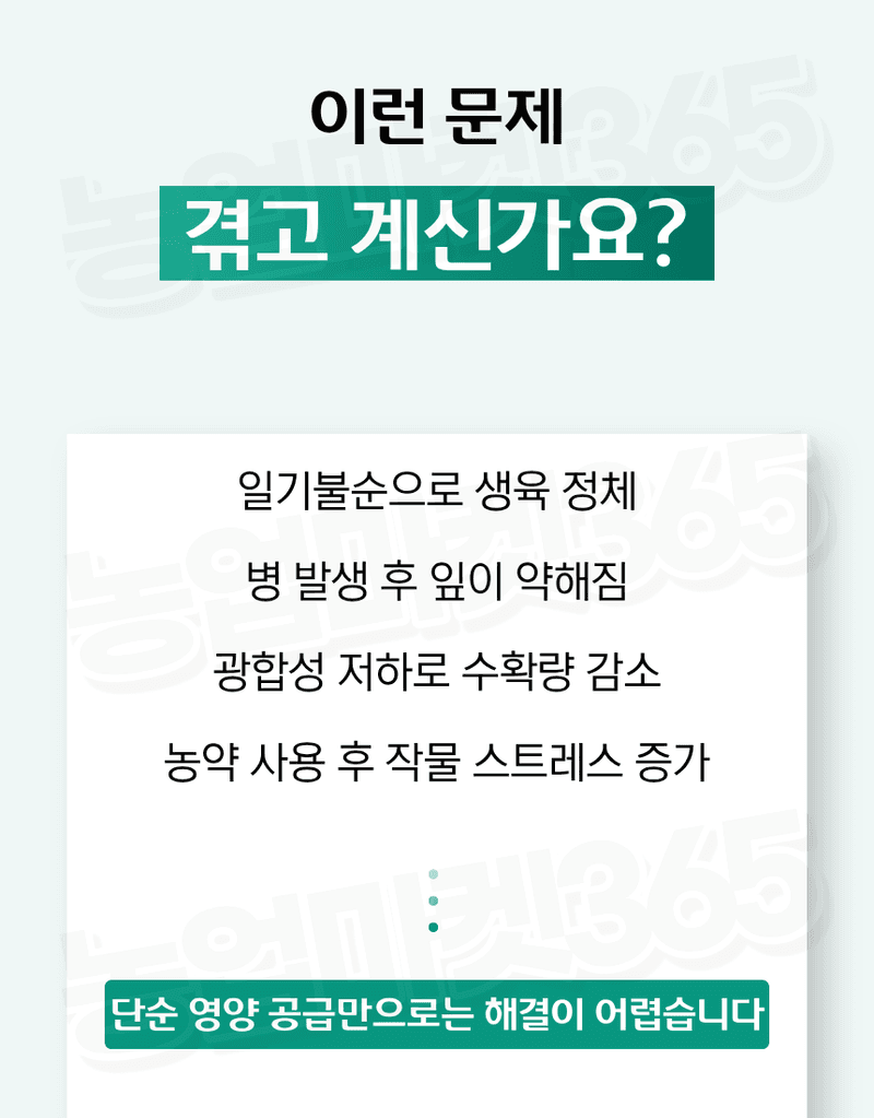 농업마켓365님의 장터 판매 상품 [바이오플랜 녹색탄 500ml 광합성촉진제 갈반병예방 천공병예방 엽록소강화 생육회복제 식물영양제] 첨부 사진