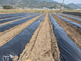 사천시향촌동 돼지띠님의 자유주제 · 자유게시판 작성글 사진