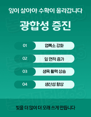 농업마켓365님의 작성글 사진
