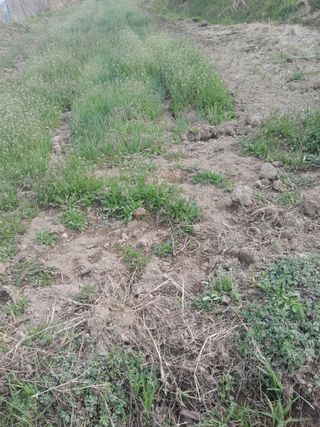 김민수산에서농사중님의 자유주제 · 자유게시판 작성글 사진