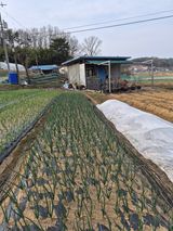 Kns4324님의 자유주제·자유게시판 작성글 사진