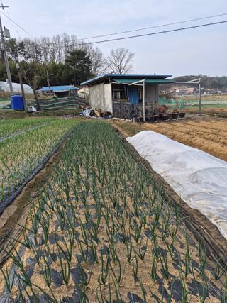 Kns4324님의 자유주제 · 자유게시판 작성글 사진