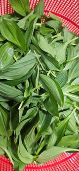 최연재님의 자유주제·자유게시판 작성글 사진