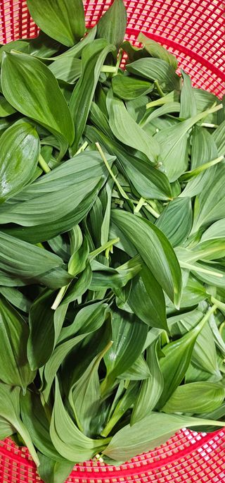 최연재님의 자유주제 · 자유게시판 작성글 사진